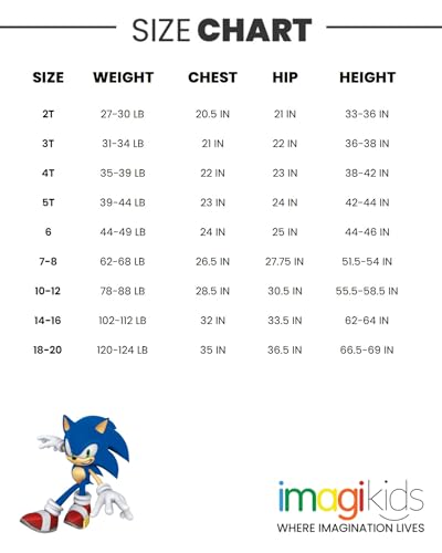 SEGA Sonic The Hedgehog And Friends Big Boys Fleece Hoodie Grey 18-20