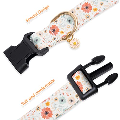 Faygarsle Halloween Fall Dog Collar for Small Medium Large Dogs Fashionable Cute Collar for Male Female Dogs Pink Cotton Dog Collar Spectre Pumpkin Pattern M
