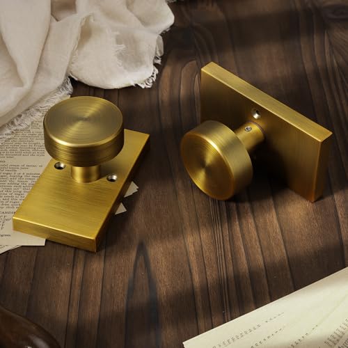 ToPToToo Dummy Door Knobs Interior, Antique Brass Door Knobs for Closet, Single-Side Dummy Door Handle, Inactive Door Knobs 2 Pack