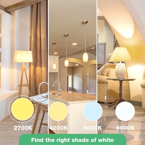 DEGNJU 100W Equivalent A19 5000K Daylight LED Light Bulbs, 1500 Lumens, E26 Base, Non-Dimmable, 13W Bright White for Bedroom Home Office, 3 Pack