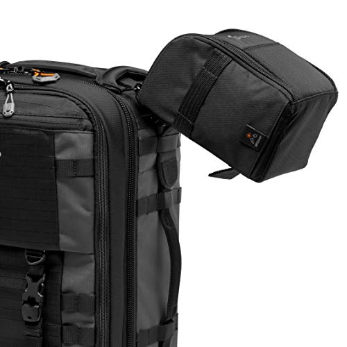 Lowepro Camera & Photo BP 350 AW II-New, Grey