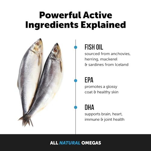 PetHonesty Omega 3 Fish Oil Supplement for Dogs & Cats (32oz), Wild Caught Omega 3 Fish Oil for Skin and Coat Health, Supports Shedding, Skin & Coat, Immunity, Joint, Brain & Heart, EPA + DHA