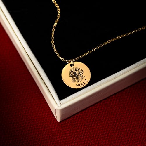 MignonandMignon Personalized Dog Necklace for Women Memorial Gifts for Mom Pet Portrait Custom Cat Name Unique Animal Picture Mother's Day Gift -LCN-AP (Gold)