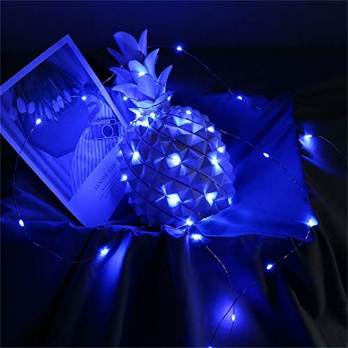 Yalilong 2 Pack with Timer Function Battery Operated Dewdrop Led Lights,Mini Fairy Lights for Home Parties Christmas/Halloween Holiday Decoration,6 Hours on/18 Hours Off,30 LEDs,10 Feet (Blue)