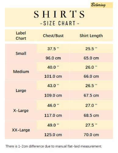 Beluring Summer Shirts for Women Satin Causal Work Office Elegant Vneck Blouses Top (White, L)