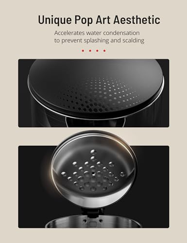 Electric Kettle for Boiling Water, Paris Rhone 1.7L Visual Water Window Stainless Steel Electric Water Kettle, 1500W BPA-Free Hot Water Kettle Pot, Auto Shut Off & Boil-Dry Protection, Silver