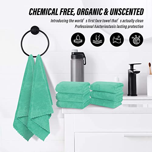 MOONQUEEN 6 Pack Premium Hand Towels - Quick Drying - Microfiber Coral Velvet Highly Absorbent Towels - Multipurpose Use as Hotel, Bathroom, Shower, Spa, Hand Towel 16 x 28 inches (Plum)