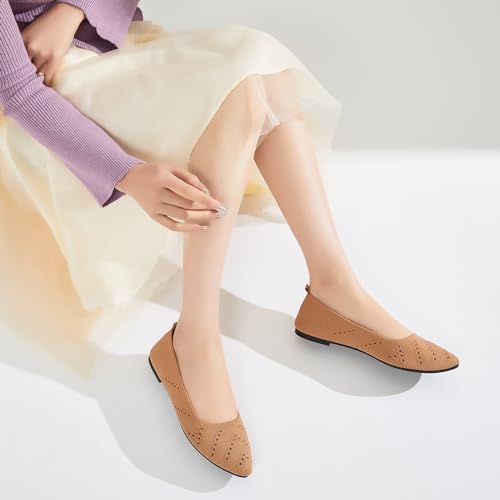 Women’s Flats Shoes Dress Shoes for Women Ballet Flats Dressy Comfortable Pointed Toe Flats Foldable Flats(Beige.us8)
