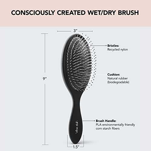 Kitsch Wet Hair Brush Detangling Brush - Soft Bristle Hair Brushes for Women | Straight & Curly Wet Dry Brush | Hairbrush Women for All Hair Types | Hair Detangler Brush | Travel Brush (Black, 1 Pc)