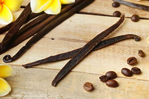 12 Large Vanilla Beans For Making Vanilla Extract Grade A - NON-GMO Planifolia Type Bulk, 6-8 Inches Grade A+