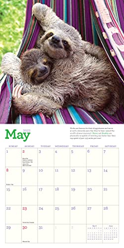 Original Sloths Mini Wall Calendar 2022: 12 Months of Irresistible Cuteness, Sloth Trivia, Stories, and Facts