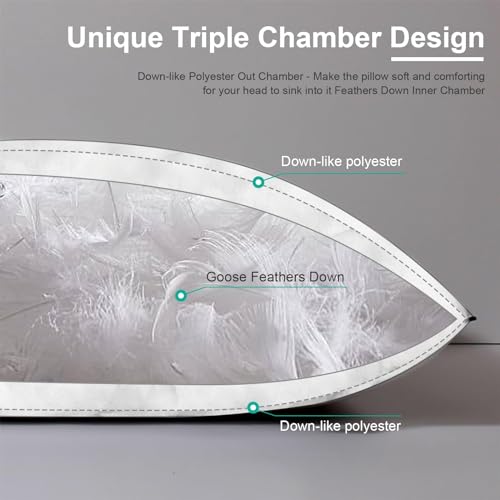 APSMILE Medium Firm Feather Down Pillows Standard Size Pack of 1, Luxury Goose Feather Pillow for Sleeping, 600TC/DM Organic Cotton Cover Hotel Collection Bed Pillows (White, 20"x26")