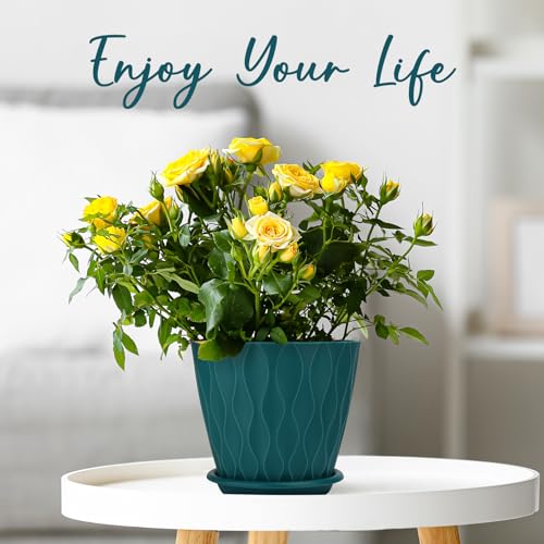 YNNICO 6 inch Plant Pots, 5 Pack Flower Pots Outdoor Indoor, Planters with Drainage Hole and Tray Saucer.