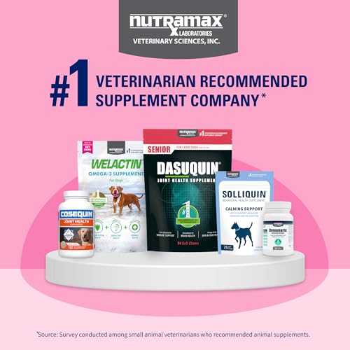 Proviable Digestive Health Supplement Kit with Multi-Strain Probiotics and Prebiotics for Medium to Large Dogs - with 7 Strains of Bacteria, 30 mL Paste and 10 Capsules