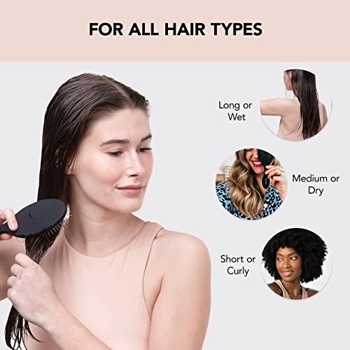 Kitsch Wet Hair Brush Detangling Brush - Soft Bristle Hair Brushes for Women | Straight & Curly Wet Dry Brush | Hairbrush Women for All Hair Types | Hair Detangler Brush | Travel Brush (Black, 1 Pc)
