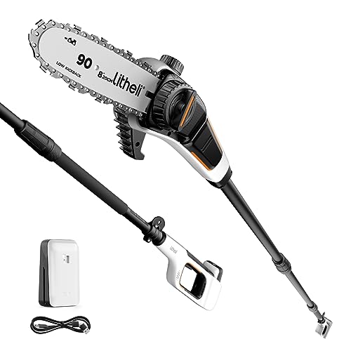 Litheli U20 Pole Saw for Tree Trimming, 8'' Electric Cordless Pole Saws, Battery Tree Trimmer 27.5ft/s Cutting Speed with 2.5Ah Battery for Branch Cutting, Trimming, Pruning