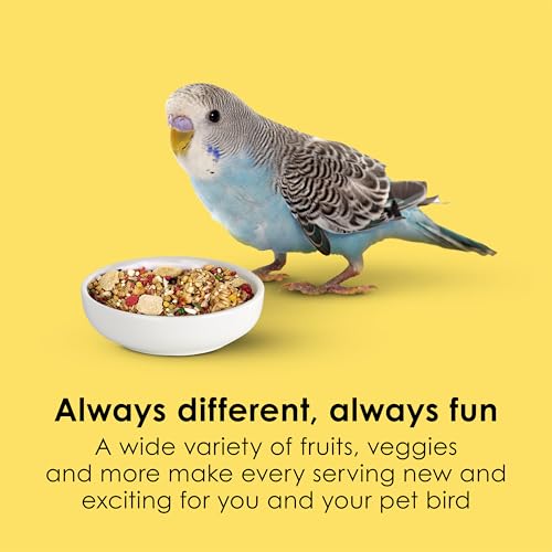 Kaytee Fiesta Parakeet Food, Nutritious and Fun Blend, Supports Skin, Feather, Digestion, Brain and Heart Health, 4.5 pounds