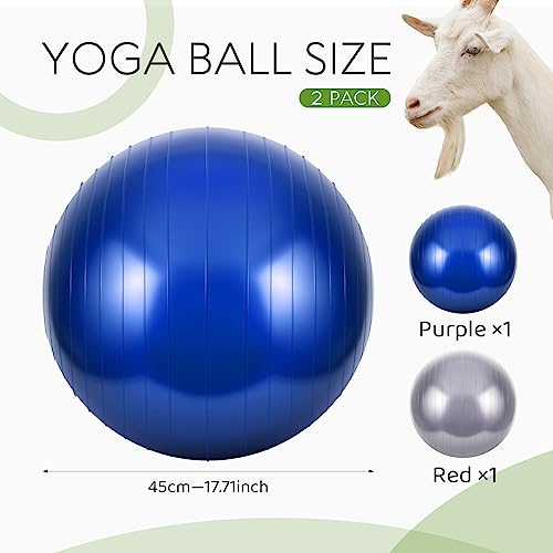 Sotiff 2 Pcs Herding Goat Ball Large PVC Exercise Training Ball with Inflator Pump for Dogs, Goats, Horses Outdoor Entertainment(17.7 Inch,Blue, Grey)