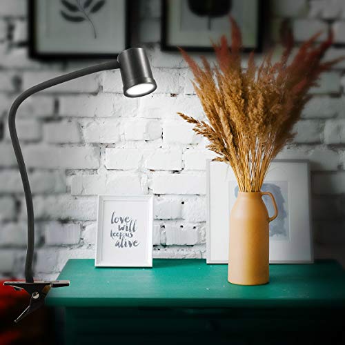 Reading Light, 3 Modes & 10 Brightness Clip on Light, Desk Lamp, Eye Caring Reading Lights for Books in Bed, 360°Gooseneck Clamp Light, Clip on Light for Bed Headboard, Book Light With Memory Function
