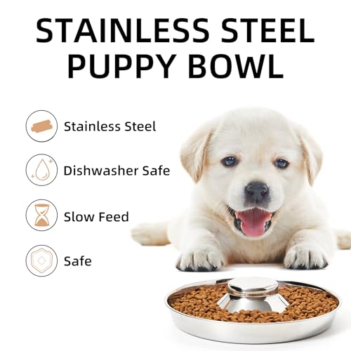 Thankspaw Stainless Steel Puppy Bowls, Set of 2 Puppy Feeder, Dog Food and Water Bowl, Food Feeding Weaning for Small Medium Large Dogs, Pets, S