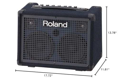 Roland KC-220 Battery-Powered Stereo Keyboard Amplifier, 30-Watt (15W + 15W)