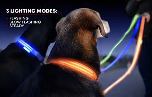 LED Dog Collar, USB Rechargeable, XX-Small (XXS) - 8.6'' - 11.4'', Bright Orange
