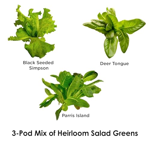 AeroGarden Heirloom Salad Greens Mix Seed Pod Kit - Salad Kit for AeroGarden Indoor Garden, 3-Pod