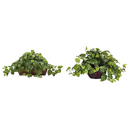 Nearly Natural Pothos with Ledge Basket, Green,34x18x15