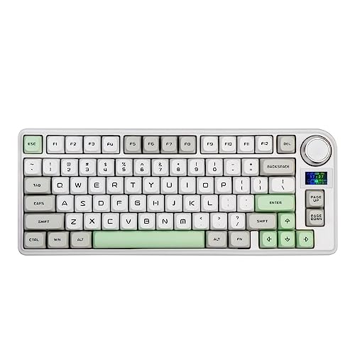EPOMAKER TH80-X Gasket Mechanical Keyboard, 75% Layout Triple Mode Hot-swap Gaming Keyboard with 4000mAh Battery, LCD Screen, NKRO, RGB for Office/Win/Mac (Green, Epomaker Flamingo Switch)