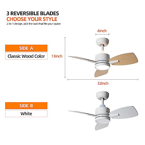 TALOYA Small Ceiling Fans with Lights and Backlight, 32 inch Ceiling Fan with Remote Control, Quiet Reversible DC Motor, 5 CCT Seleactable Modern Ceiling Fans for Bedroom Dining Room Patio White
