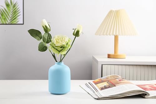 LSBTAUCP- Home Decoration Ceramic Vases, Ceramic Vases, Dried Flower vases, Living Room Decoration, Flower Arrangement Decoration Shooting Props, Coffee Table Decoration, Best Gift( (Blue)