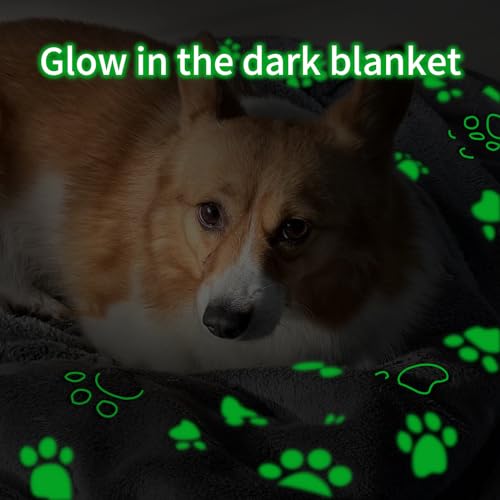 Glow Waterproof Dog Blanket, Pattern Printing Super Soft Warm Fluffy Facecloth Sofa Car Bed Protector, Urine Proof Washable Outdoor Pet Blanket for Puppy Large Dogs & Cats(paw40*30)