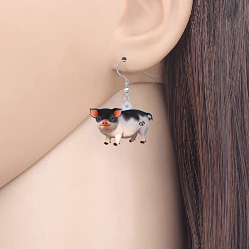 LONYOO Acrylic Pink Pig Earrings Dangle Cute Pig Jewelry for Women Pig Gifts (Pink 440)