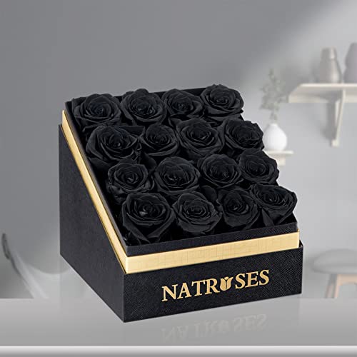 NATROSES Forever Preserved Roses in a Box, 100% Real Roses That Last Up to 3 Years, Flowers for Delivery Prime Birthday, Valentines Day Gifts for Her (Black)