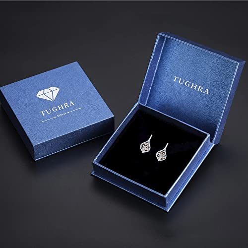 Dragonfly Earrings 925 Sterling Silver Small Dragonfly Leverback Cute Dangle Hoop Earrings Dragonfly Jewelry for Women Teen Hypoallergenic Earrings for Sensitive Ears