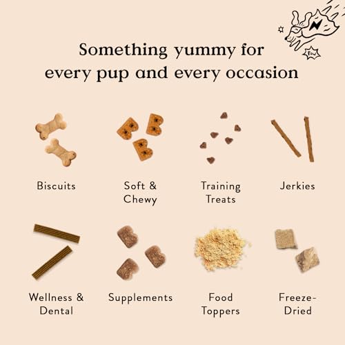 Bocce's Bakery Oven Baked Cheese Recipe Treats for Dogs, Wheat-Free Everyday Dog Treats, Made with Real Ingredients, Baked in The USA, All-Natural Soft & Chewy Cookies, Cheese, 6 oz