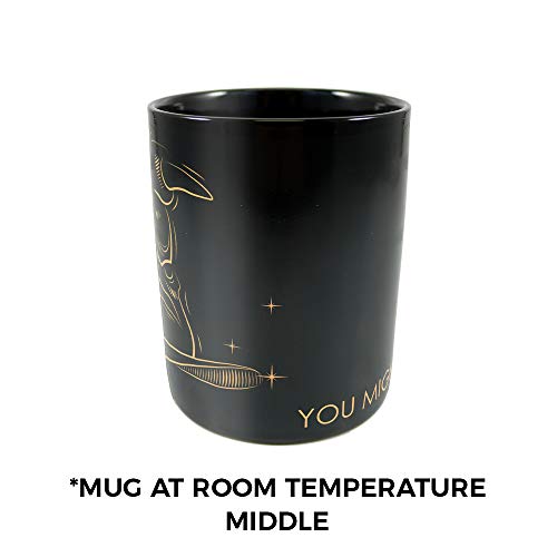 Morphing Mugs Harry Potter – Celestial Hogwarts Houses – Gryffindor – Sorting Hat – 16 oz Large Ceramic Heat Sensitive Clue Mug – Full image revealed when HOT liquid is added