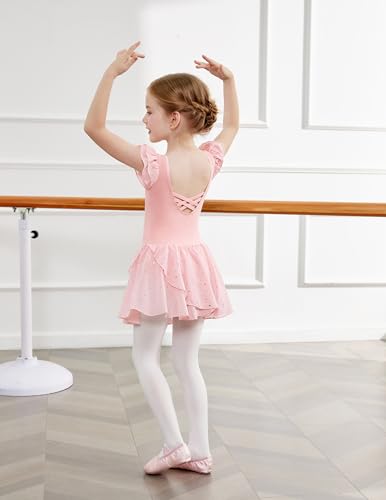 Zaclotre Pink Leotards for Girls Twinkle Sequins Dance Dresses Flow Skirt Hem Ballerina Leotard 3-4T