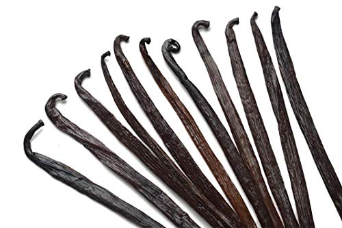 12 Large Vanilla Beans For Making Vanilla Extract Grade A - NON-GMO Planifolia Type Bulk, 6-8 Inches Grade A+
