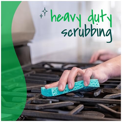 Scotch-Brite Odor Resist Heavy Duty Scrub Sponge, Dishwasher-Safe Kitchen sponges for Serious Scrubbing, Multipurpose Dish Sponge for Stuck-On Messes, 3 Scrubbing Sponges