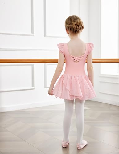Zaclotre Pink Leotards for Girls Twinkle Sequins Dance Dresses Flow Skirt Hem Ballerina Leotard 3-4T
