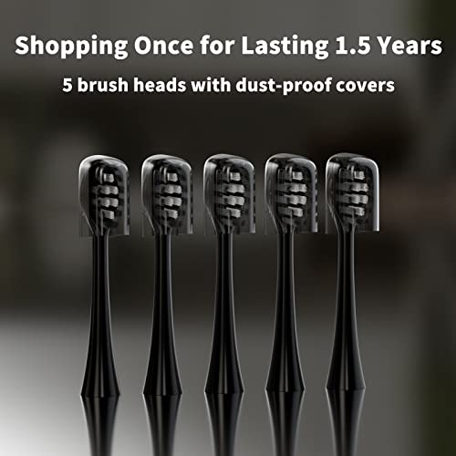 Replacement Toothbrush Heads Compatible with Gleem Electric Toothbrush, W Shape Design Planted with Nylon Bristle (Black)