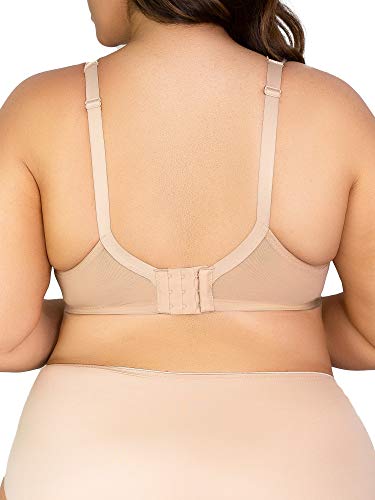 Curvy Couture Women's Tulip Lace Push Up Bra, Black Adobe Rose, 44DD