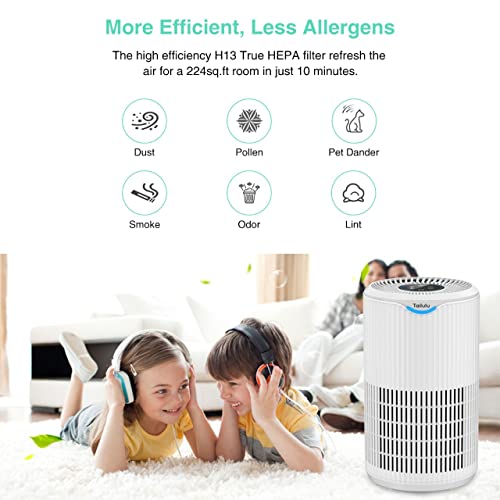 Tailulu Air Purifier Replacement Filter for D09 Air Cleaner, 3-in-1 True H13 HEPA Filter, 1 Pack