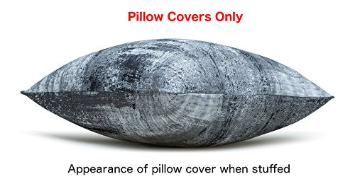 TreeWool 2 Pack Brush Art Accent Decorative Cotton Throw Pillow Covers (16 x 16 Inches, Black & Gray)