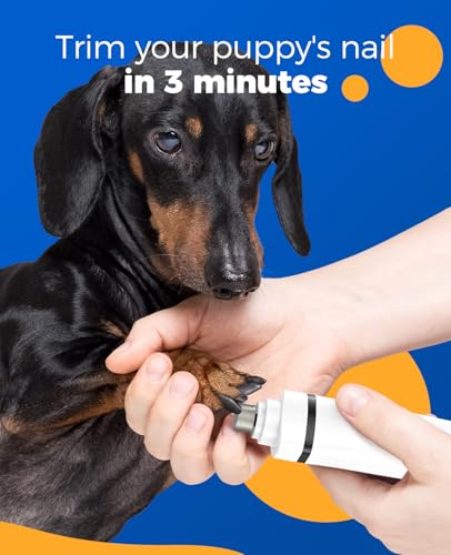 oneisall Paw Trimmer for Small Dogs Quiet, 4 in 1 Small Dog Grooming Kit, 2 Speed Dog Grooming Kit for Small Dogs, Cordless Small Dog Clippers, Quiet Dog Nail Grinder for Small Dogs(White)