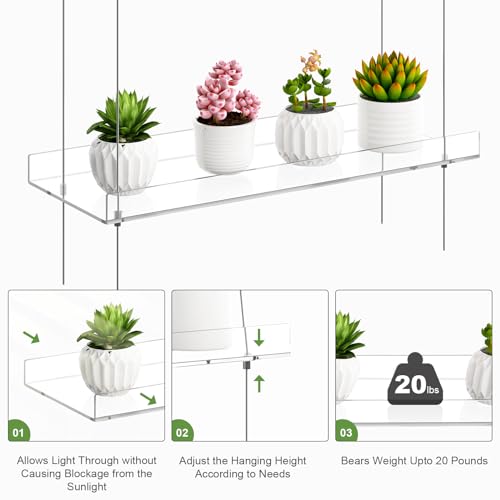 airogym 2-Tier Acrylic Plant Shelves for Window of Kitchen, 16 Inch Window Wall Clear Hanging Plant Stand, Height Adjustable Hanging Shelves for Indoor Window Plants, Succulents Flower Pots Organizer
