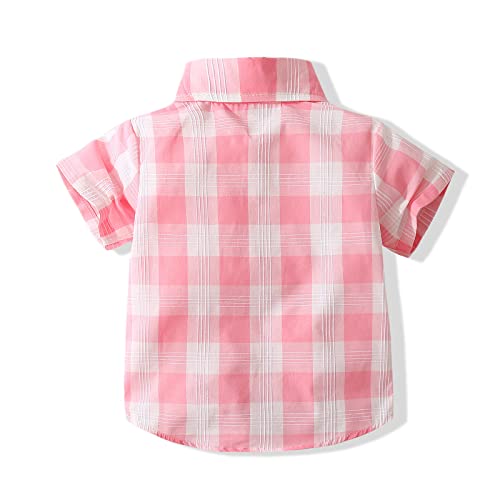 Baby Boys Dinosaur Animal Print Shirt Button Down Hawaiian Shirts Aloha Short Sleeve Party Holiday Dress Shirt (2 Years, Dinosaur 3)
