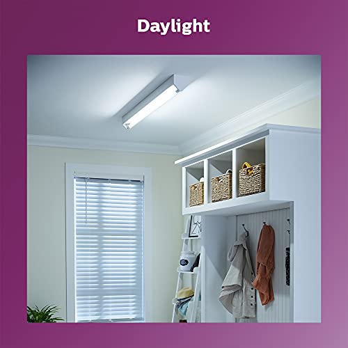 Philips LED Frosted Universal Fit 4-Foot T8 Tube Glass Light Bulb, EyeComfort Technology, Non-Dimmable, 1800 Lumen, Daylight (5000K), 16W=32W, Medium Bi-Pin G13 Base, 10-Pack, Frosted White (539163)