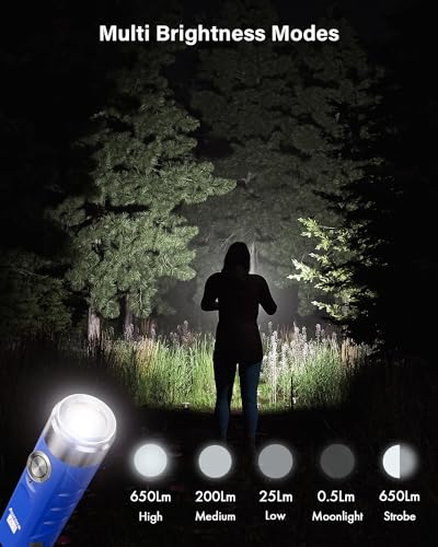 RovyVon Aurora A1 G4 USB C Rechargeable Mini Flashlight, Small Bright Keychain Flashlight 650 High Lumens EDC Flashlight Gadget with Clip for Camping, Hiking, Emergencies (Blue)